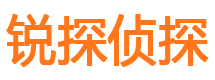 广宁市调查公司